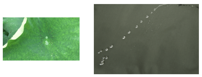 好体育app官网下载医用纺织