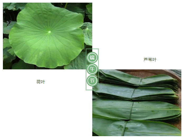 好体育app官网下载医纺