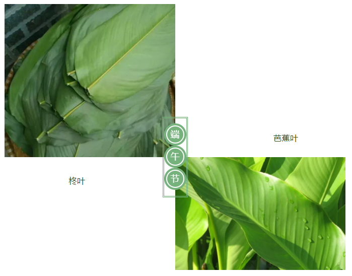 好体育app官网下载医纺