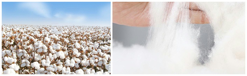 好体育app官网下载医纺