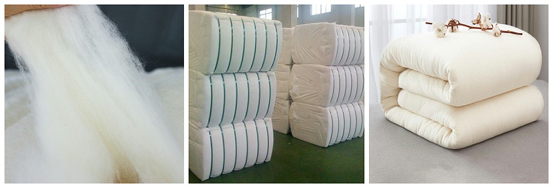 好体育app官网下载医纺