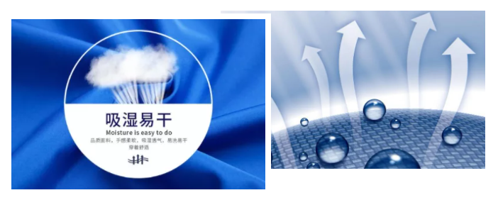 好体育app官网下载医纺