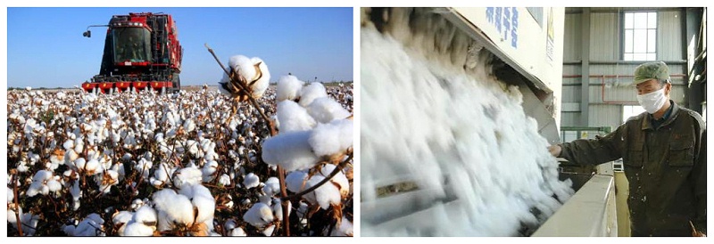 好体育app官网下载医纺