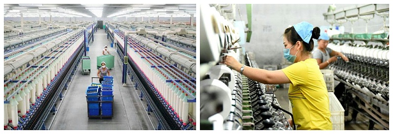 好体育app官网下载医纺