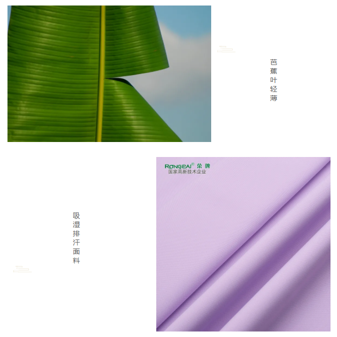 好体育app官网下载医纺