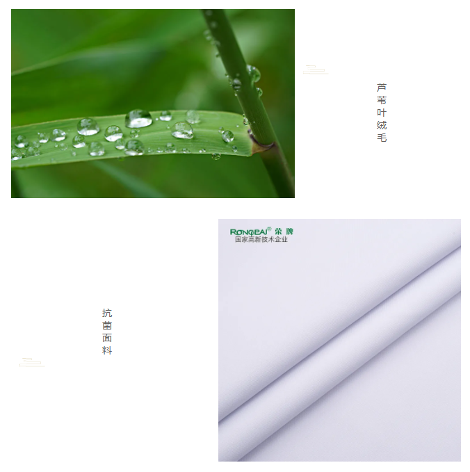 好体育app官网下载医纺