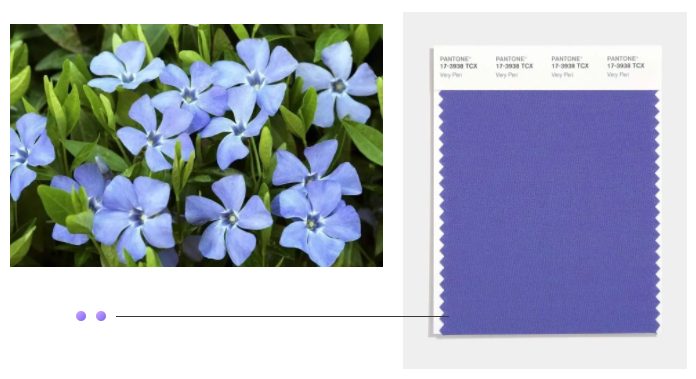 好体育app官网下载纺织面料