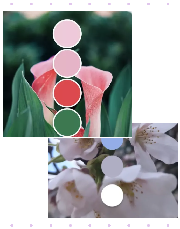 好体育app官网下载纺织面料