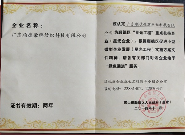 好体育app官网下载荣获政府重点扶持企业